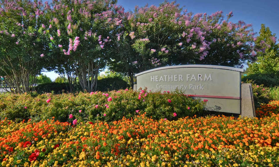 Walnut Creek Anthology Real Estate