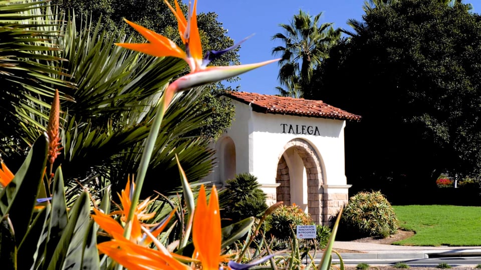 Is Talega a Good Place to Live? Echelberger Group