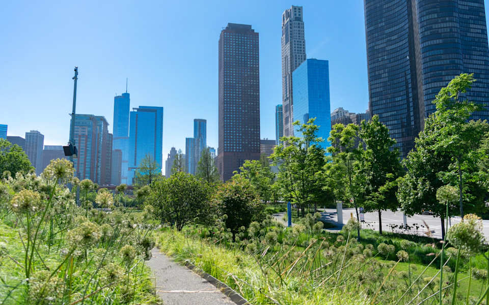 Lincoln Park Neighborhood Guide