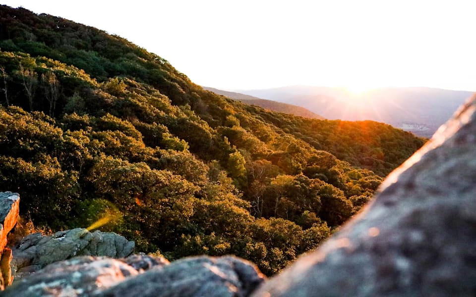 Pros and Cons Unveiling the Realities of Living in Hickory, NC Blog