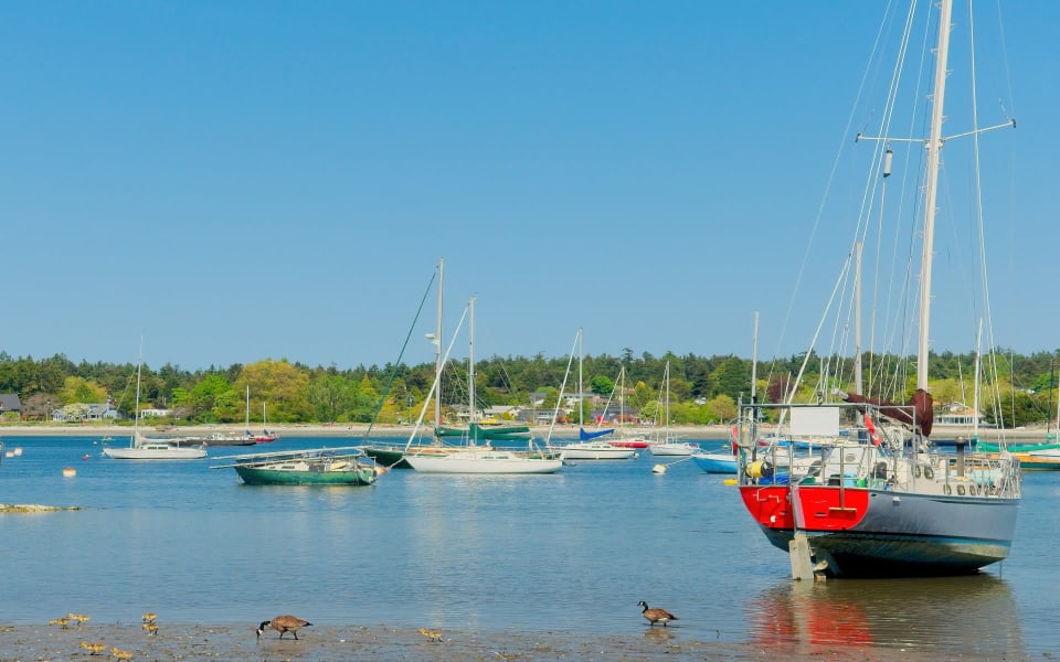Ten Mile Point Cadboro Bay Neighbourhood Guide Ryan Cochrane