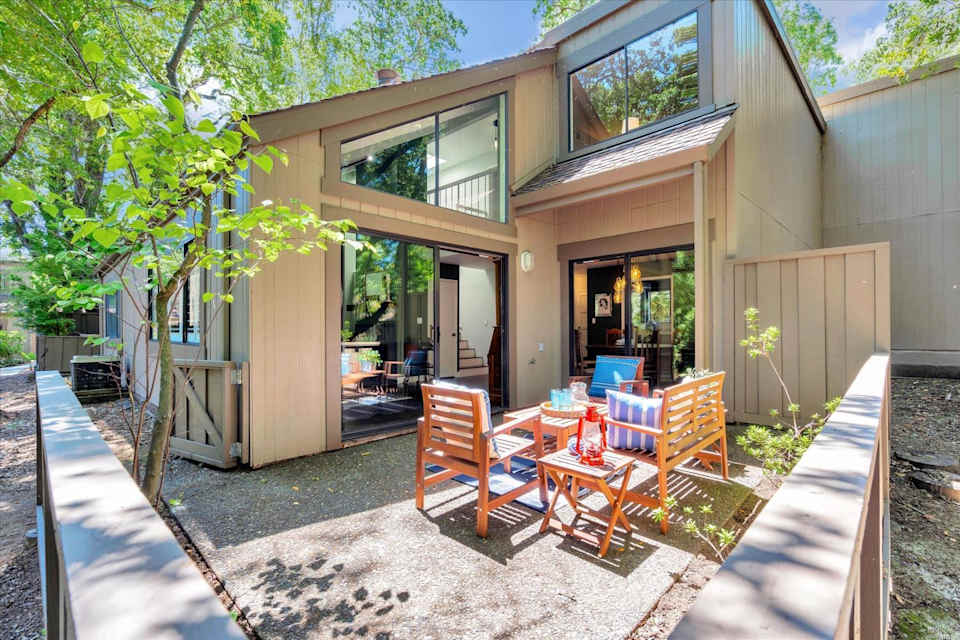 4 Must Have's & a Patio for Zola