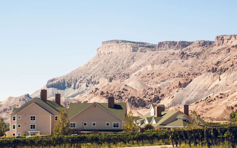 Palisade Neighborhood Guide