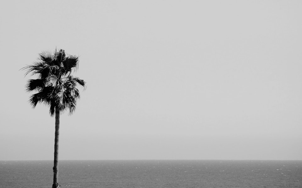 Irvine Terrace Real Estate Luxury Homes & Houses for Sale