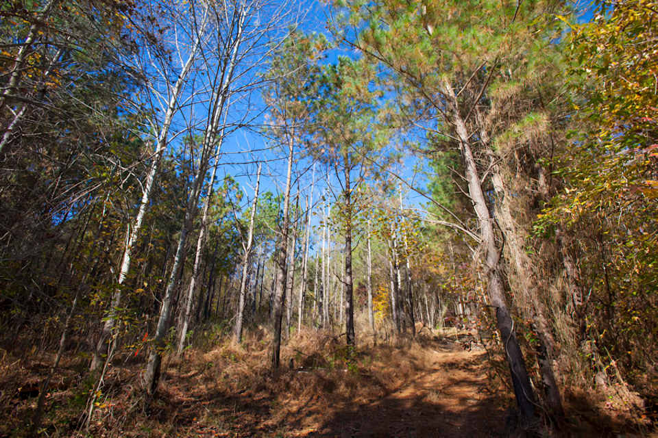 Franklin County NC Land for Sale Blog