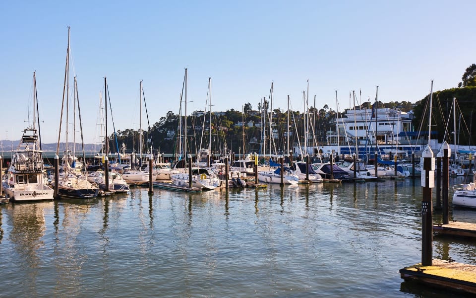 Tiburon Real Estate Area Guide Homes for Sale in Tiburon