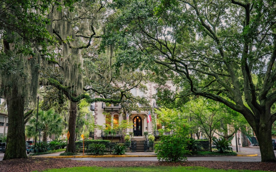 Old Enfield Austin Neighborhood Austin Luxury Real Estate