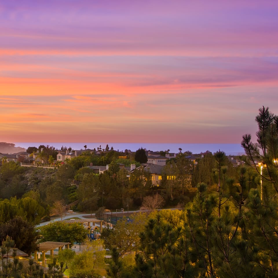 Carmel Valley  Neighborhood Spotlight – San Diego Premier Property  Management