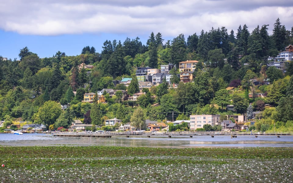 Kirkland and Redmond Real Estate Shannon Campbell