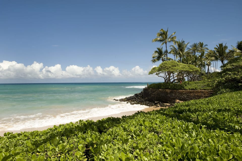 Paia Neighborhood Guide Riette Jenkins Hawaii Real Estate Agent