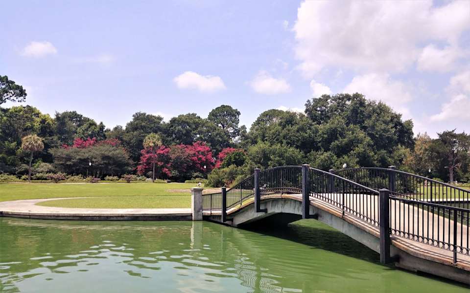 Hampton Park Terrace Neighborhood Guide