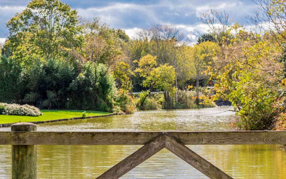 Bridgehampton Neighborhood Guide