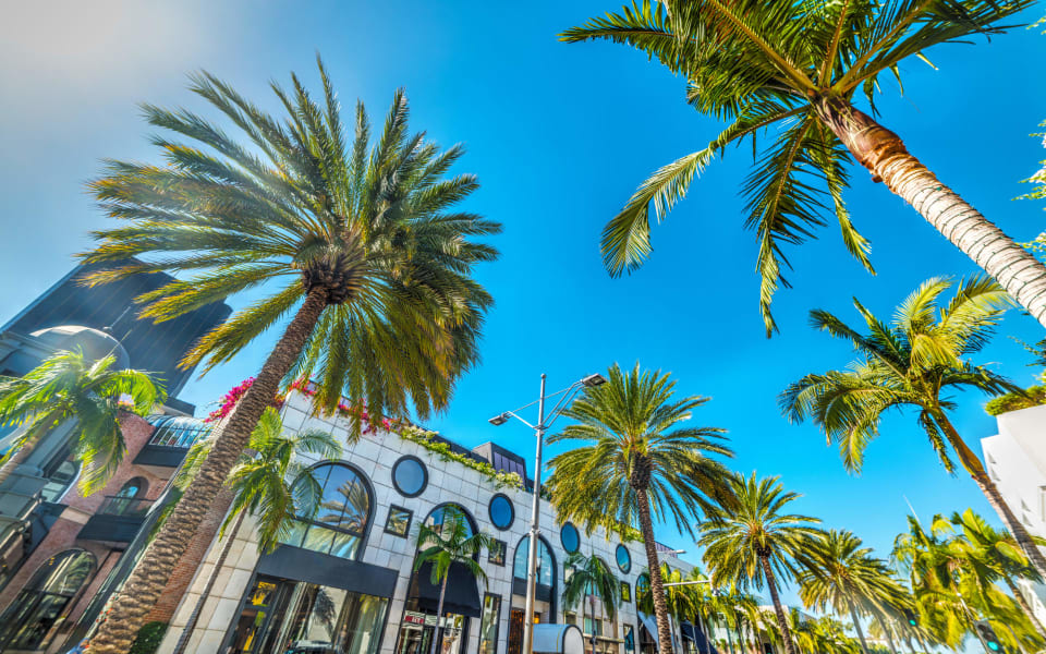 Rodeo Drive in Beverly Hills - A Luxurious Shopping Hub in Los