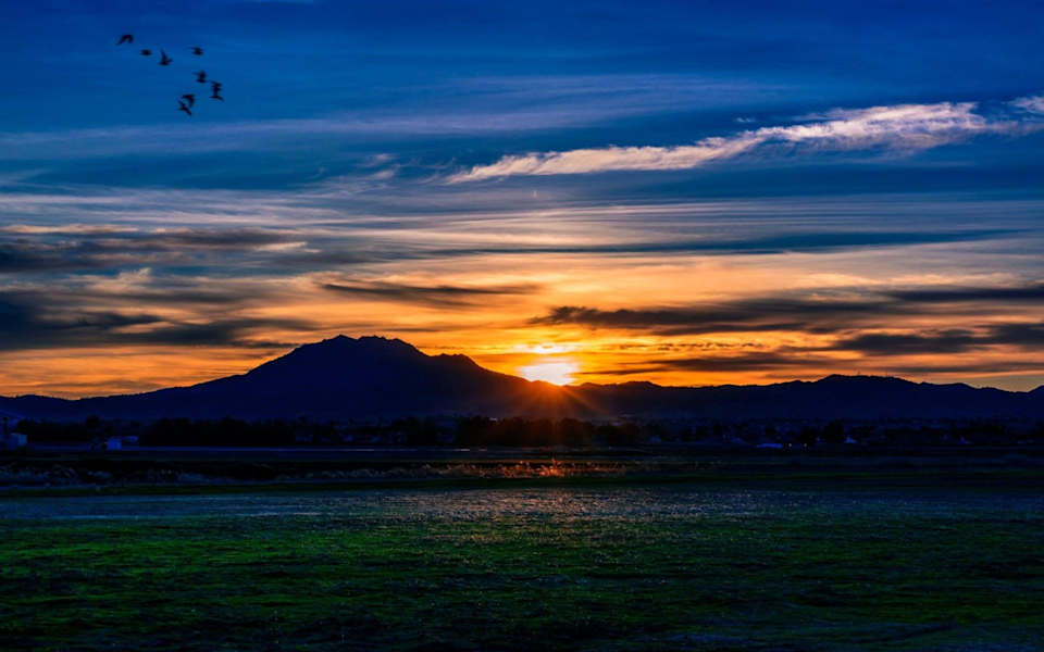 Oakley Symmetry Real Estate