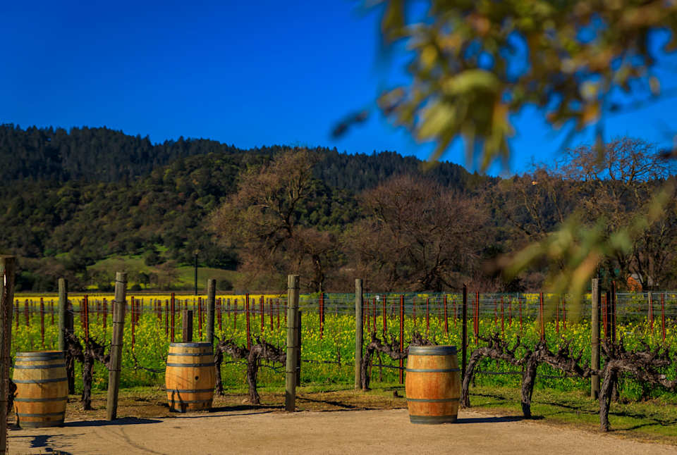Oakville Community Guide Napa Tracy Style