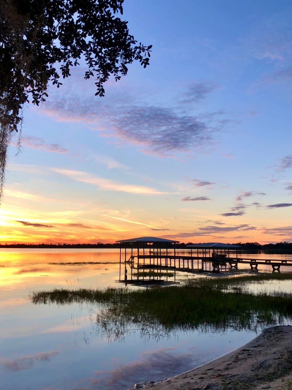 Lake Nona Real Estate Area Guide The Purdie Group Greater Orlando Real Estate