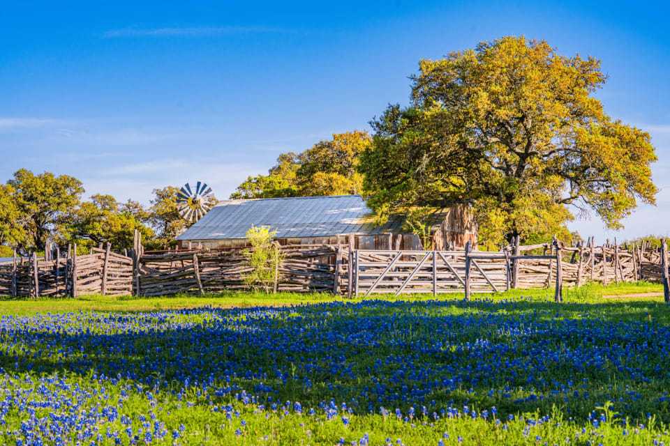 Farm and Ranch Real Estate Kerrville Real Estate Company Kerrville