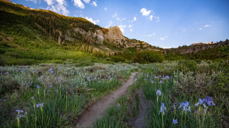 Mammoth Lakes Real Estate Market Update for June 2022 Destination