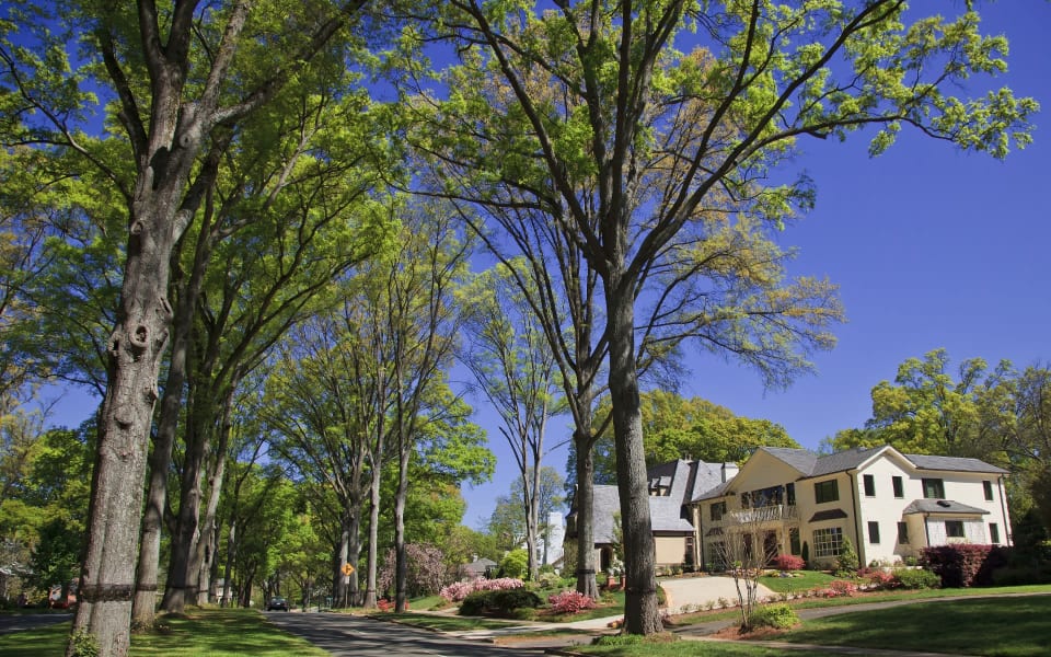 Myers Park Community Guide Andy Bovender Team