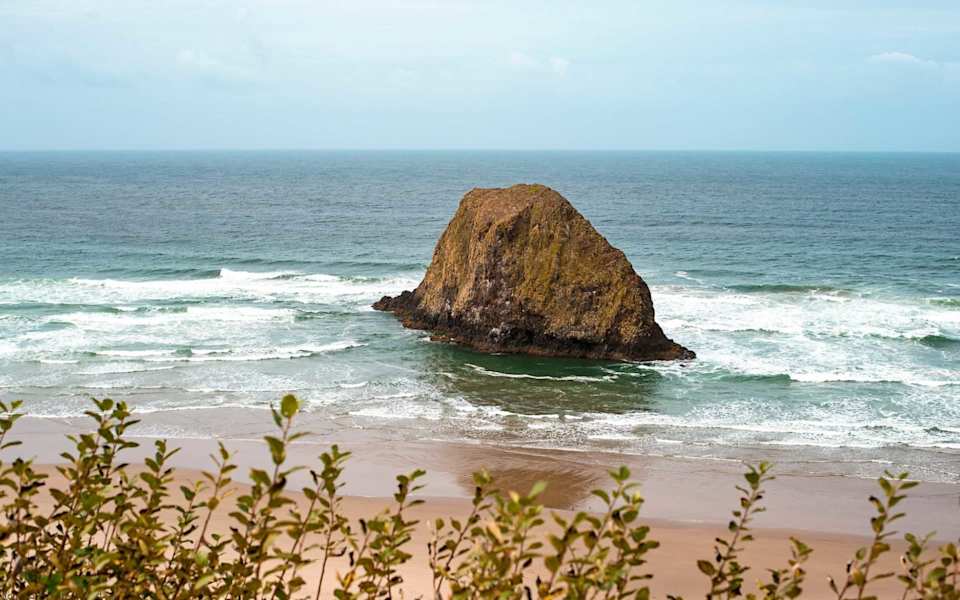 Tolovana Park SALTAIRE Coastal Homes