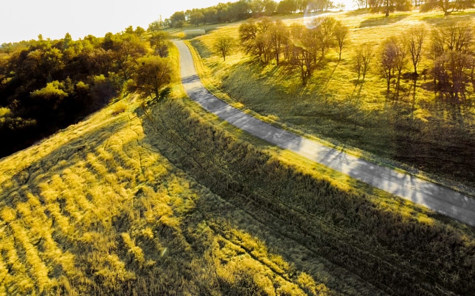 Safari Estates at Pilot Hill Denise Dascallos