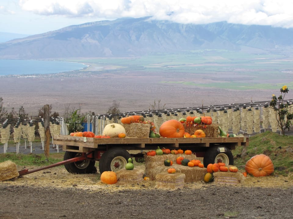 Falling Into a New Season of Real Estate Rohn Boyd