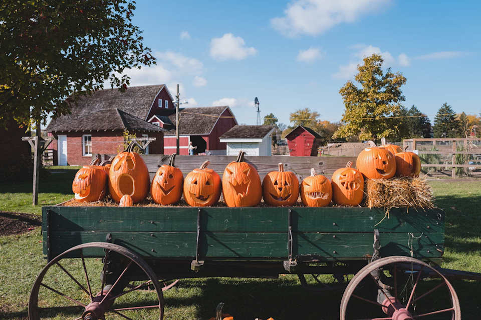 7 October Events & Festivals throughout Denver in 2022