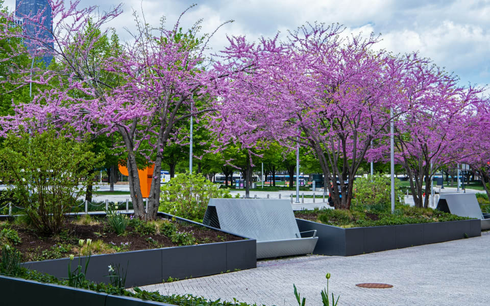 Elmhurst Real Estate Community Guide Lisa Zeller O'Malley