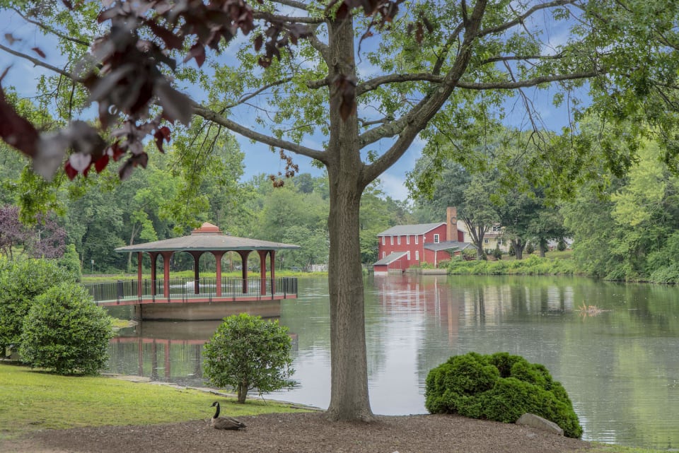 Bergenfield Real Estate Homes for Sale in Bergenfield, NJ