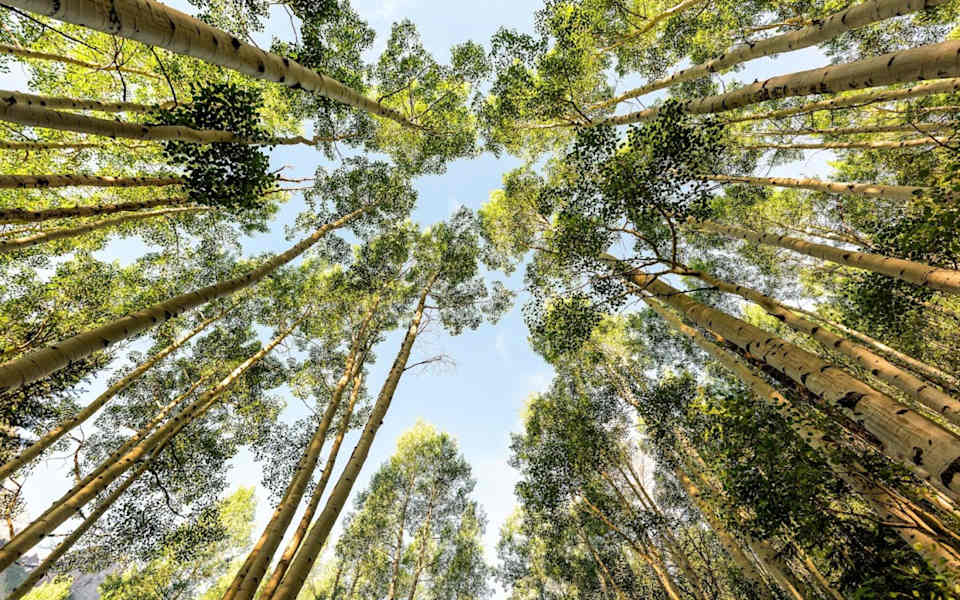 Dove Creek Neighborhood Guide Stacked Real Estate