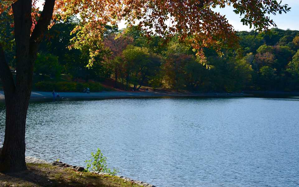 Knob Noster Neighborhood Guide