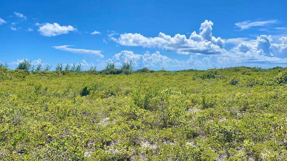 150 Anegada 0.517 Acres Luxury Properties BVI Tortola Real Estate Agents
