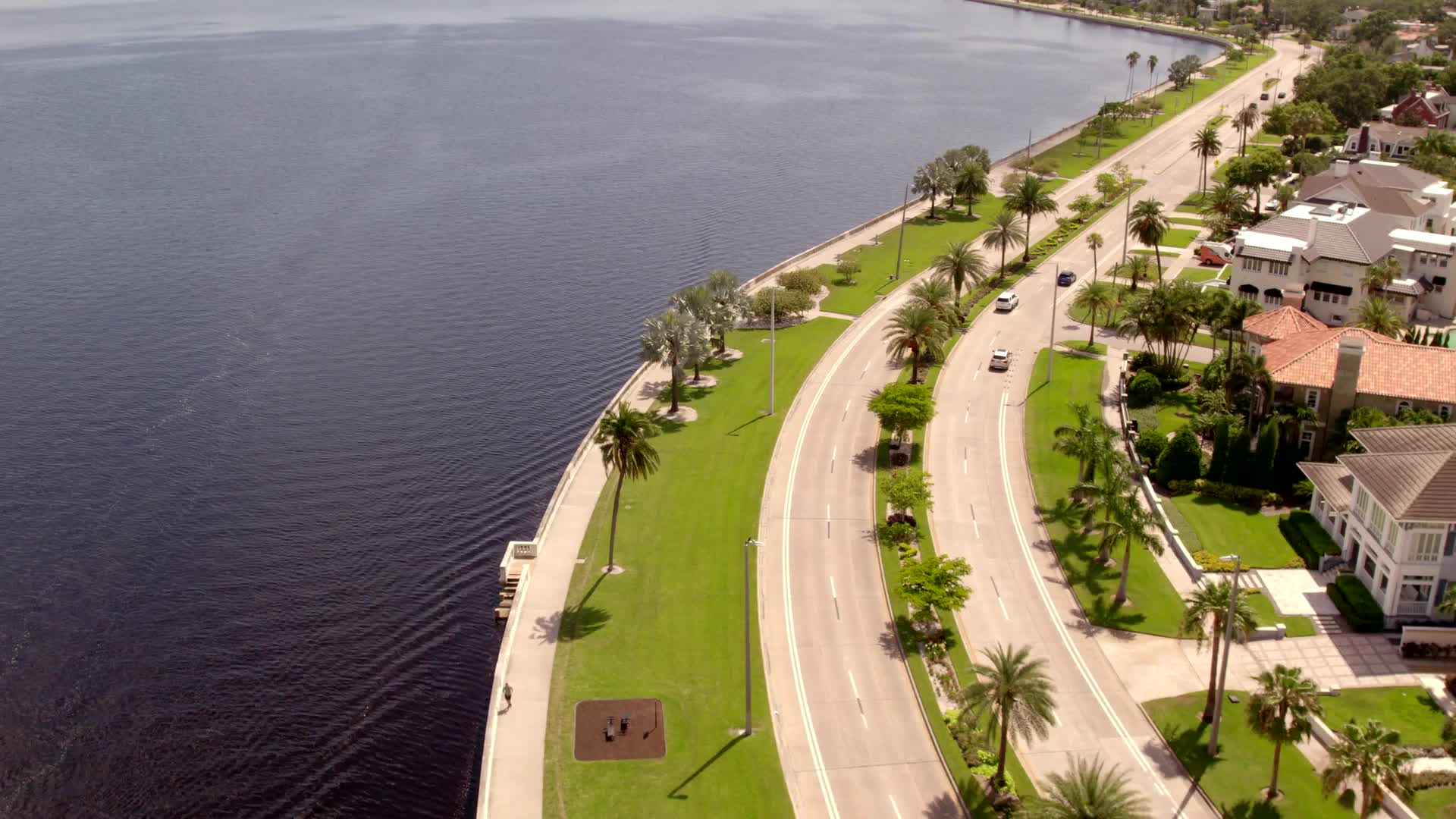 South Tampa Living