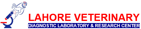 LVDLABS