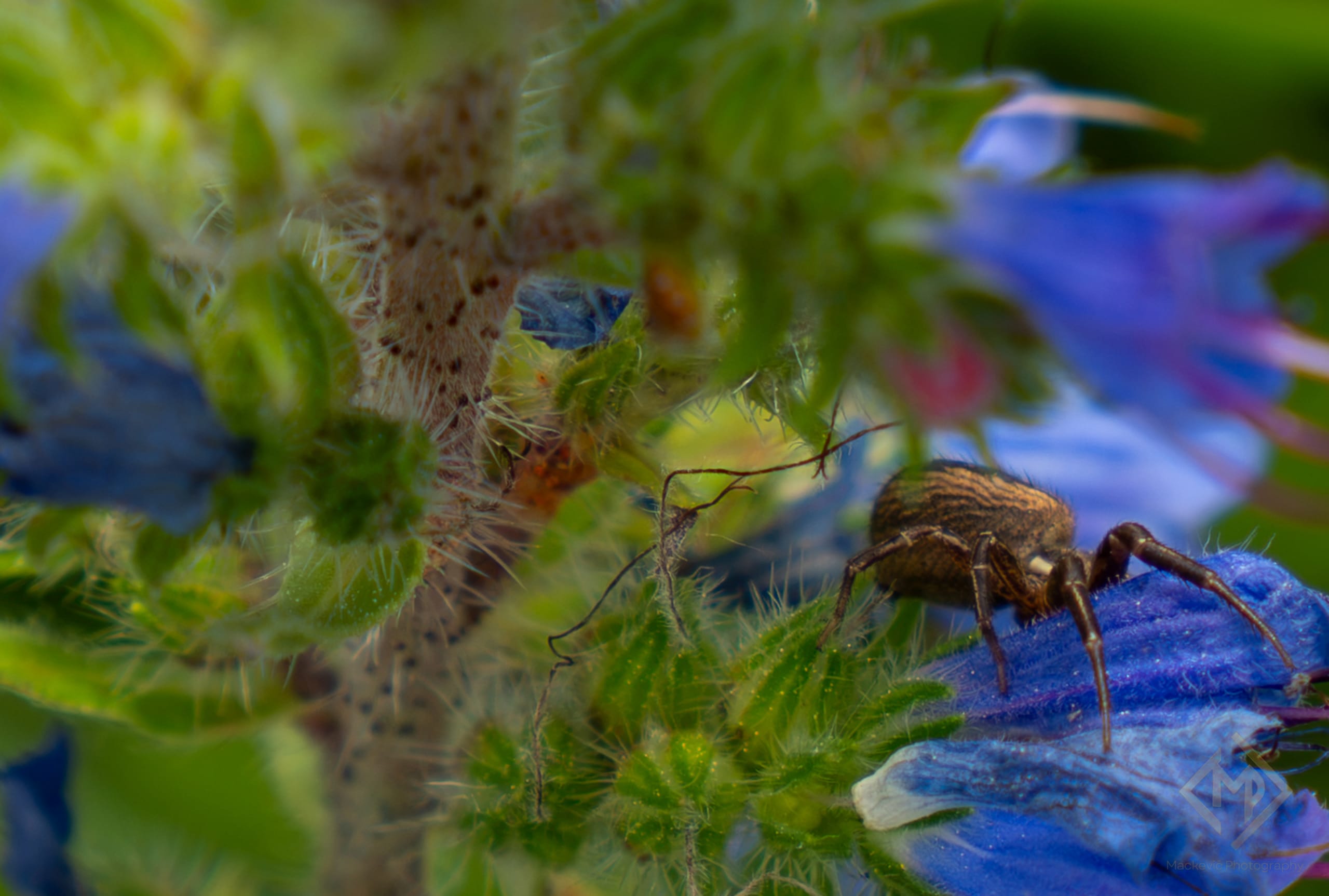 Macro Portfolio 09082026 6