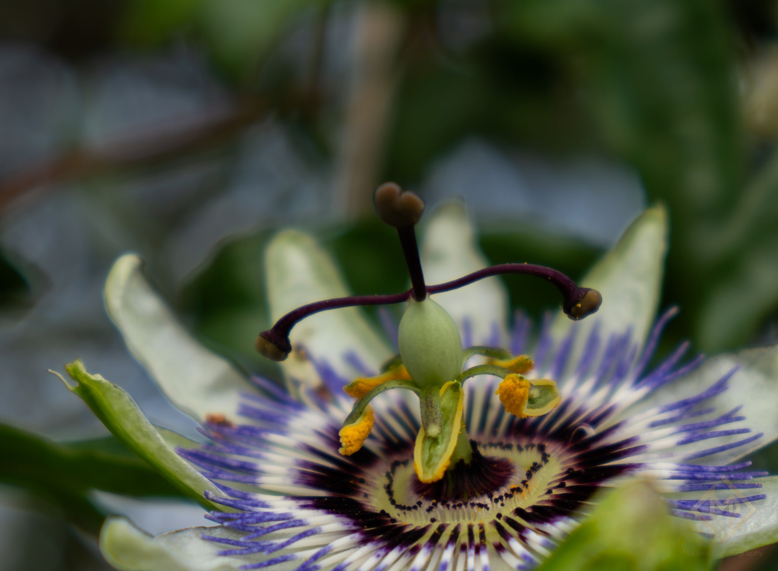 Macro Portfolio 09082026 4