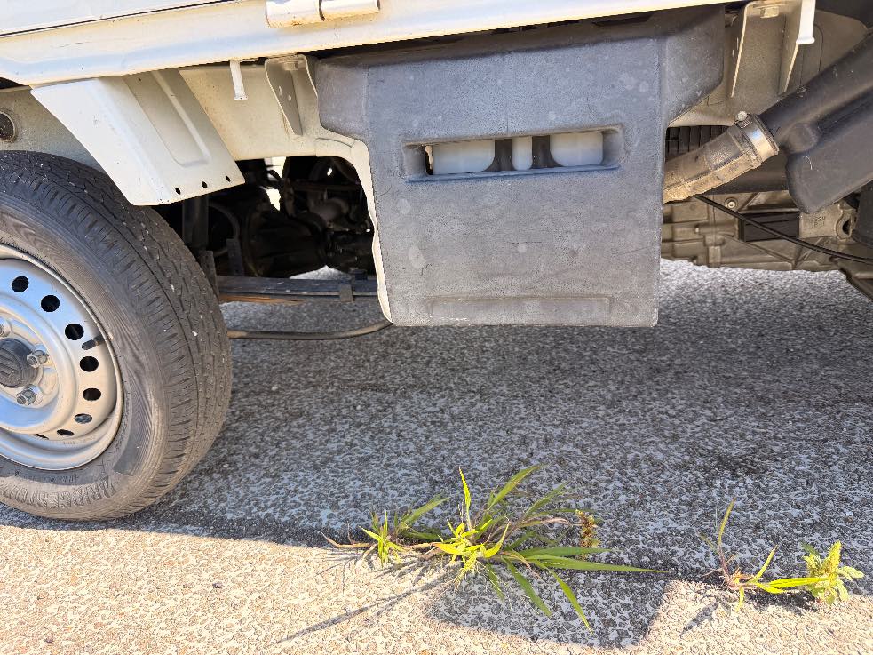 Suzuki Carry4WD 画像 7