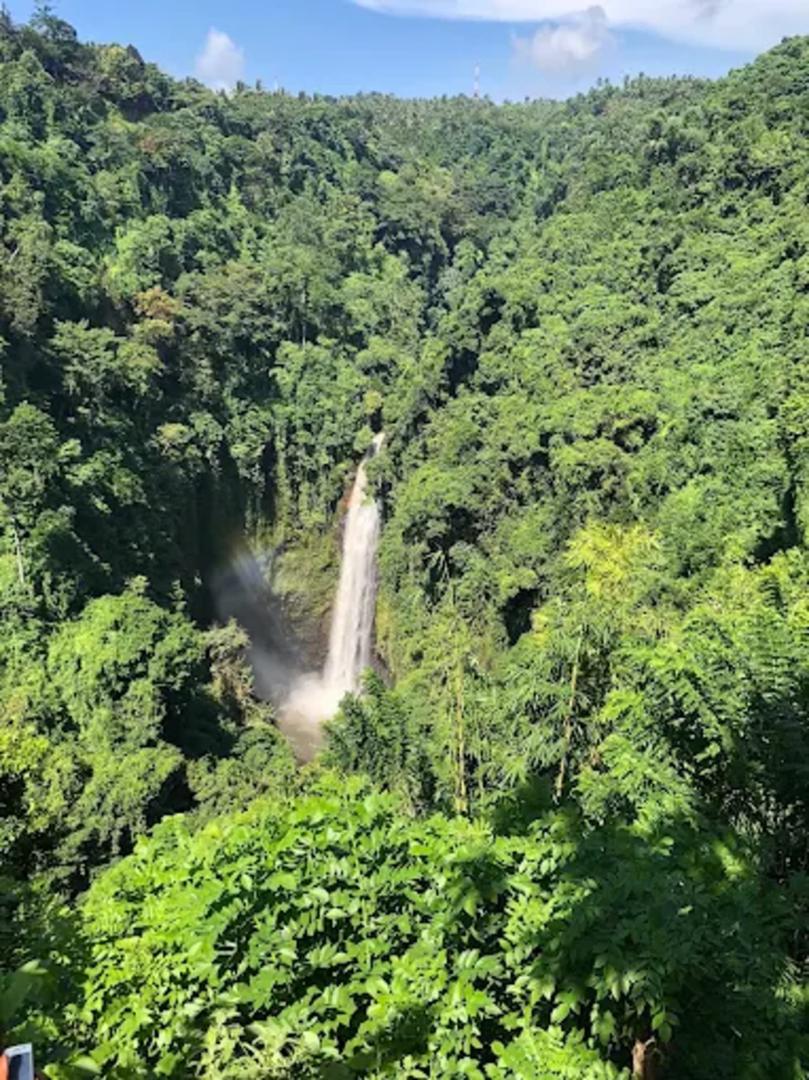 Coffee and clove plantations in Munduk