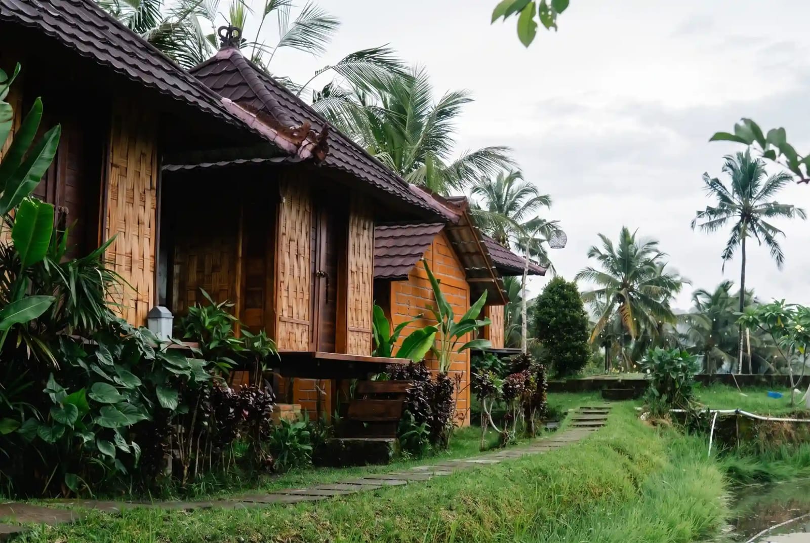 Cottage & Garden
