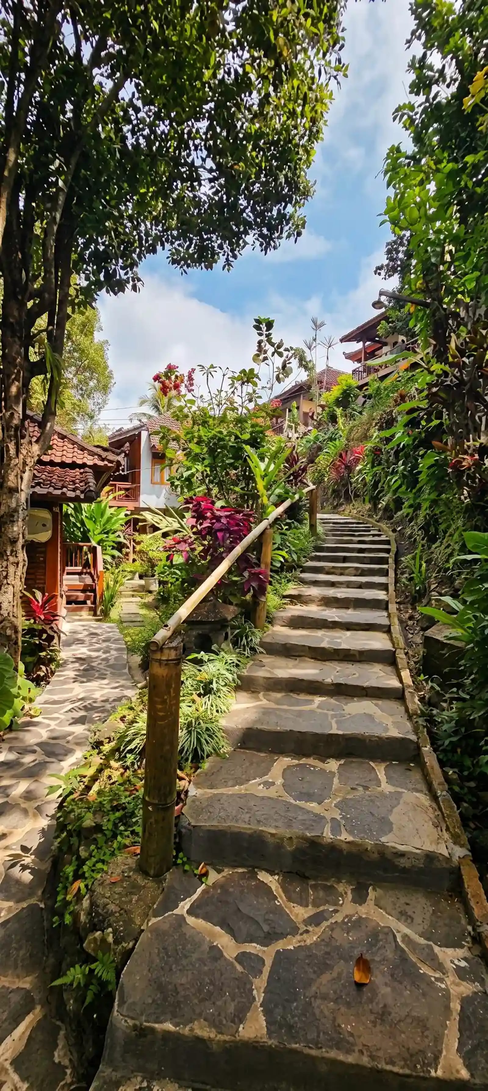Highland Courtyard Gardens