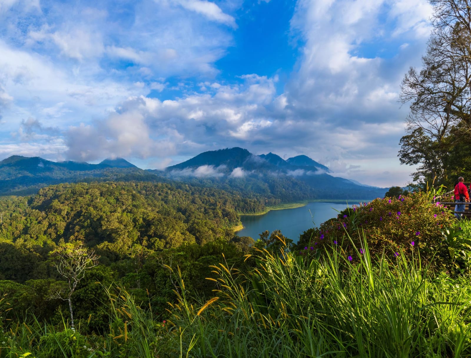 How to Reach Munduk from South Bali