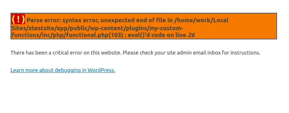 syntax error message display from custom function snippet