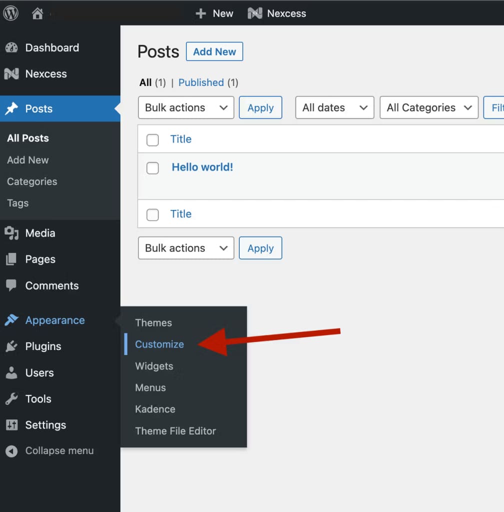 customize a new wordpress blog theme