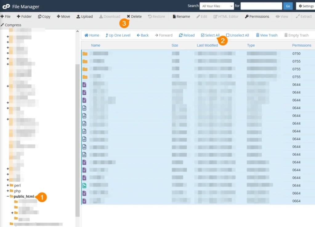 How to delete everything in the public_html folder