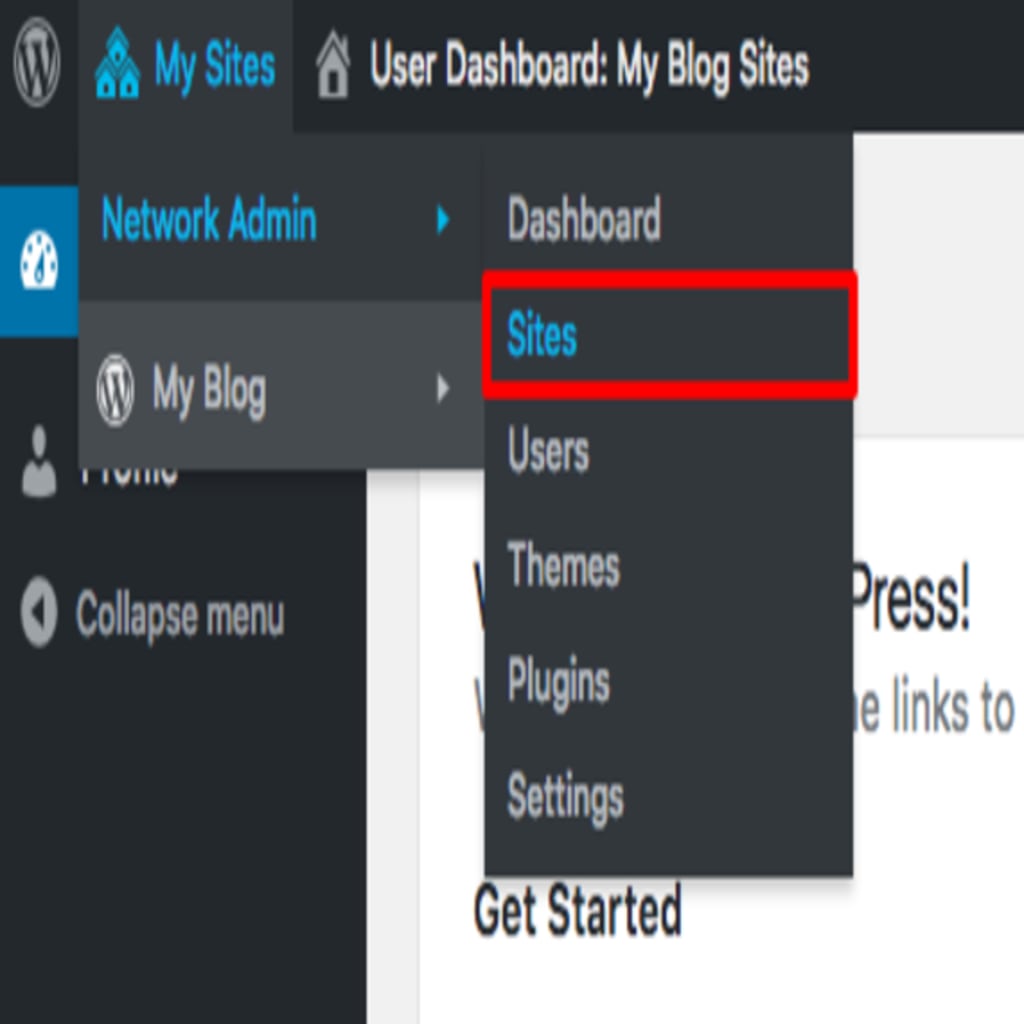 sites highlighted in wp dashboard