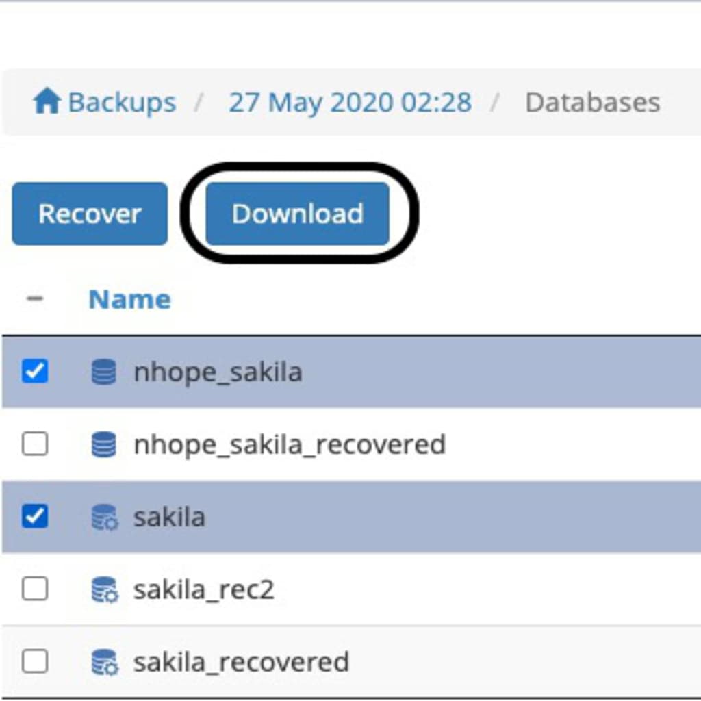 download button highlighted