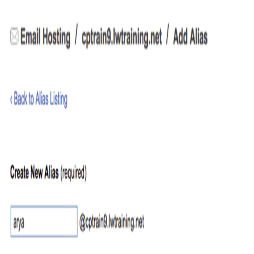alias name entered