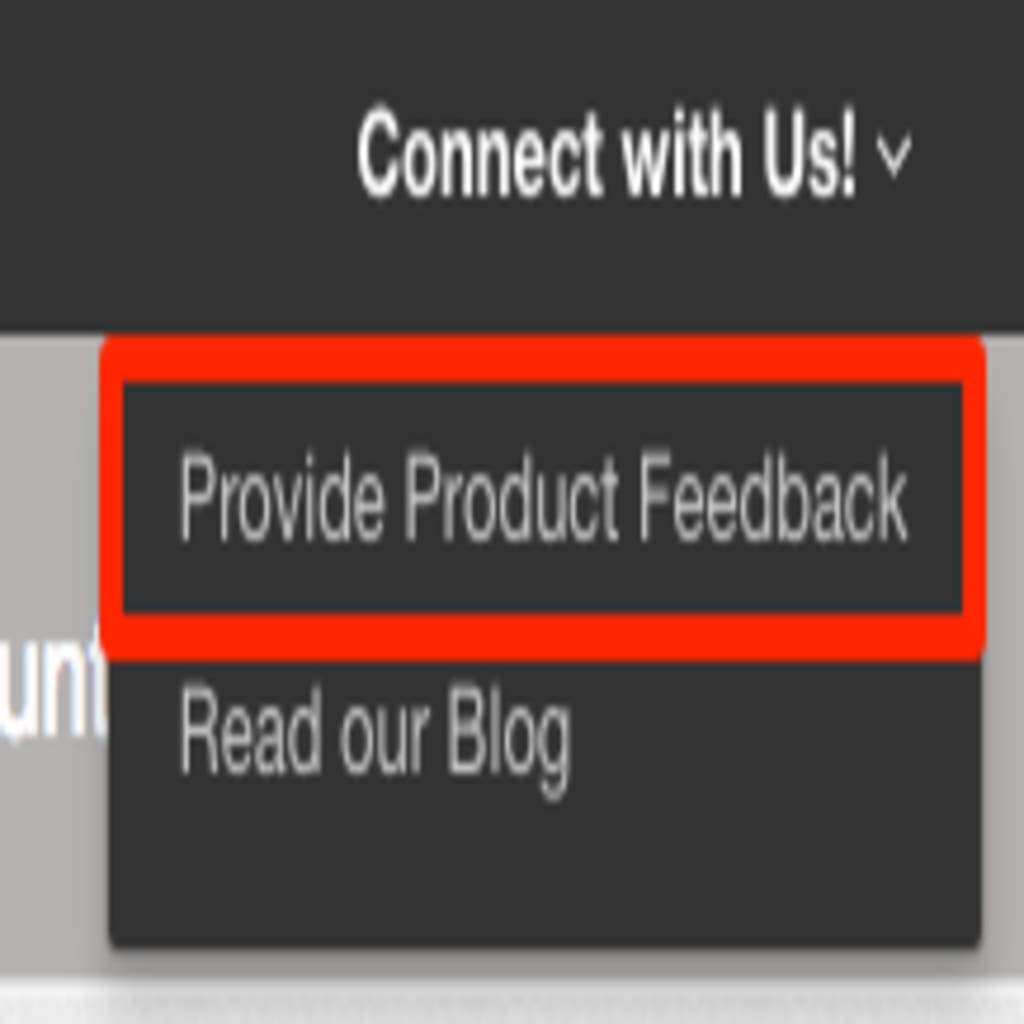 feedback link highlighted