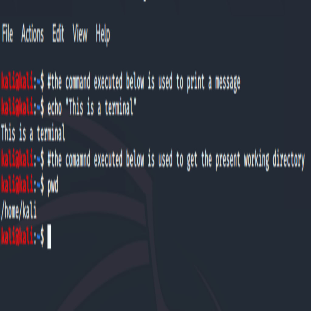 What is Kali Linux?The command line interface can be tested by simply typing a command, and you will get the required output. The terminal will run the commands through the shell and deliver the result. Enter the following text into the terminal.
