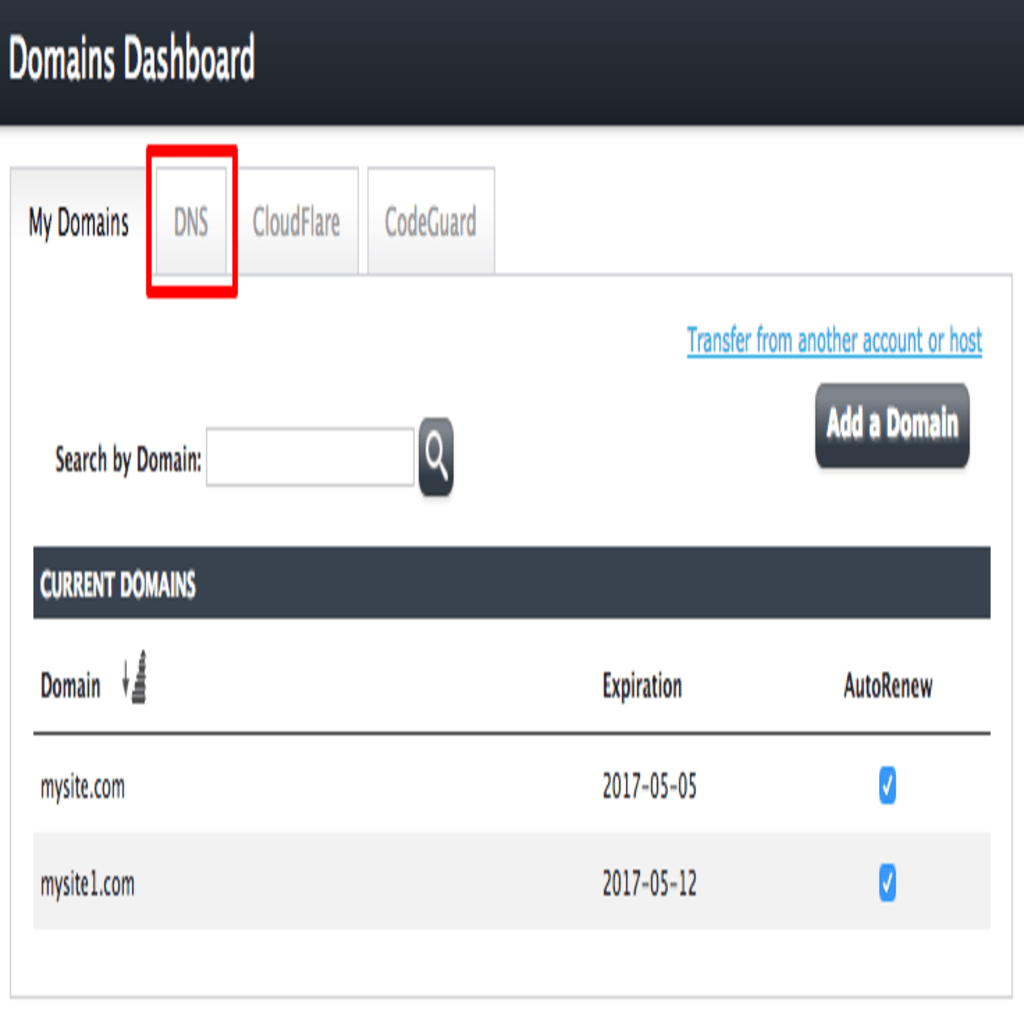 DNS tab